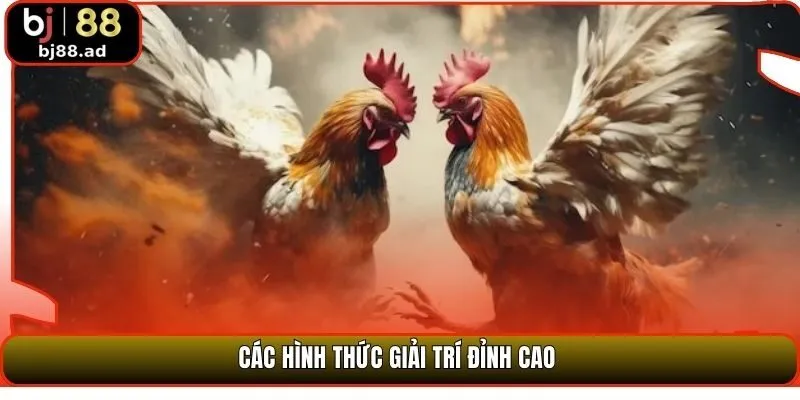 Các hình thức giải trí đỉnh cao