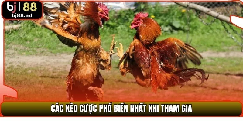 Các kèo cược phổ biến nhất khi tham gia