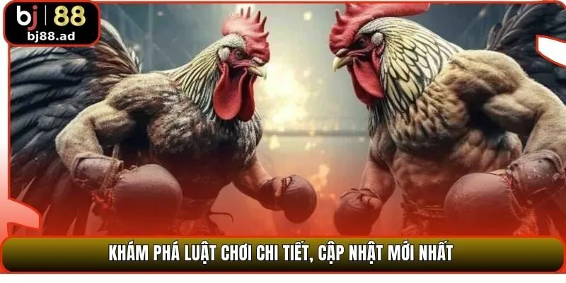 Khám phá luật chơi chi tiết, cập nhật mới nhất