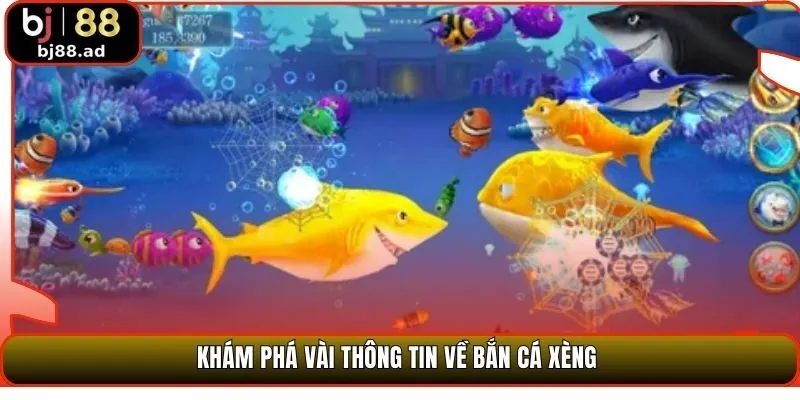 Khám phá vài thông tin về bắn cá xèng