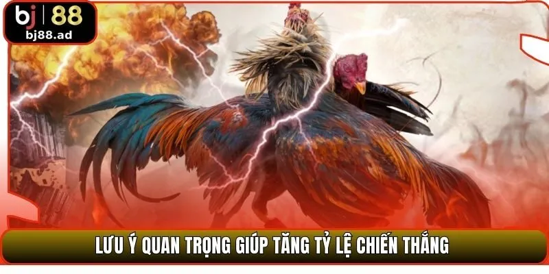 Lưu ý quan trọng giúp tăng tỷ lệ chiến thắng