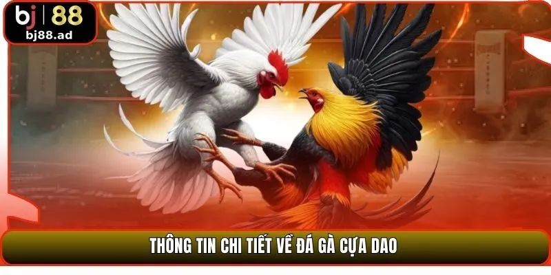 Thông tin chi tiết về đá gà cựa dao